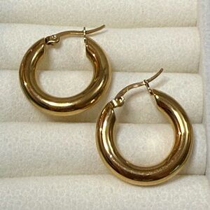 Elegant Gold Hoop Earrings